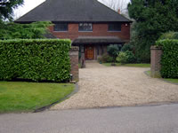 Hedge Trimming & Cutting